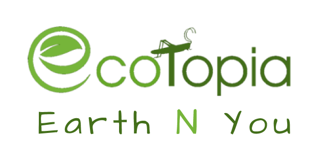Ecotopia | Earth N You